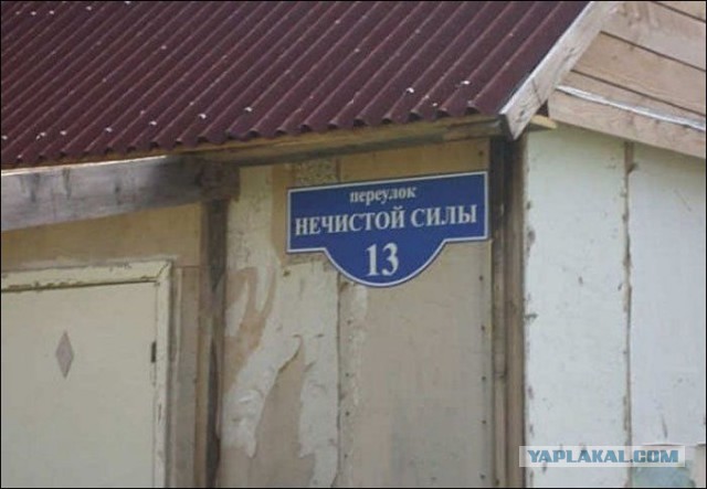 Прикольные картиночки