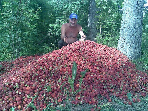 Забавные картинки из Сети
