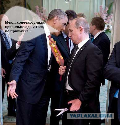 Одна жаба
