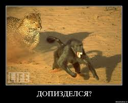 Хам на БМВ Х5 "учит" скорую в Москве