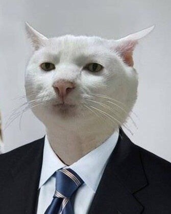 Объявление