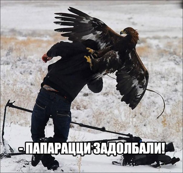 Картинки разные 2