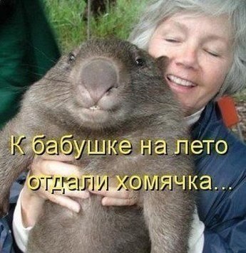 Картинки на утро вторника