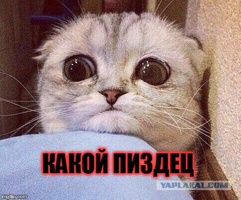 Мужики, будьте осторожны!