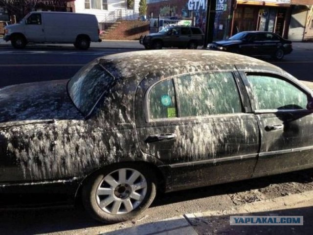 Подборка автоприколов