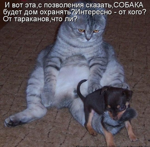 Для веселья пост