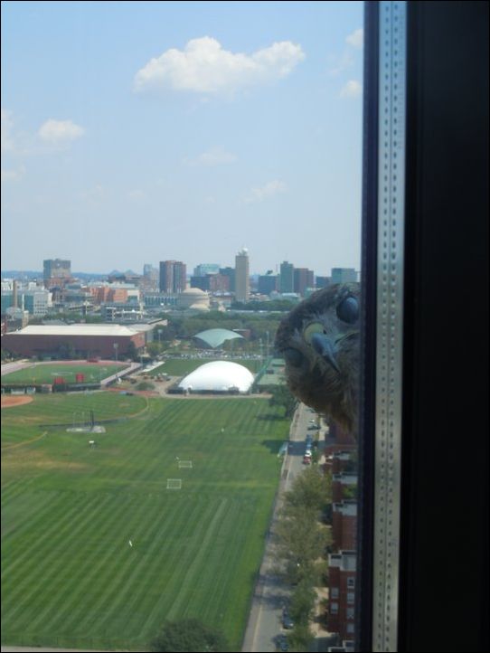 Подборка картинок 29.03.16