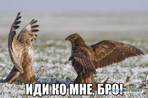 А вы знали, кто такой БРАТАН?