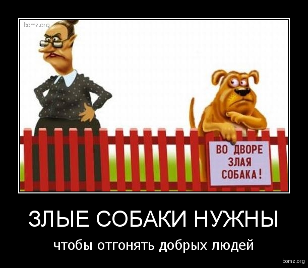 Картинки и приколы из сети, для поднятия настроения=)
