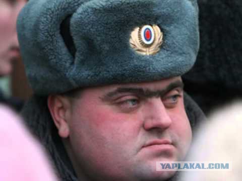 Накормили полицию
