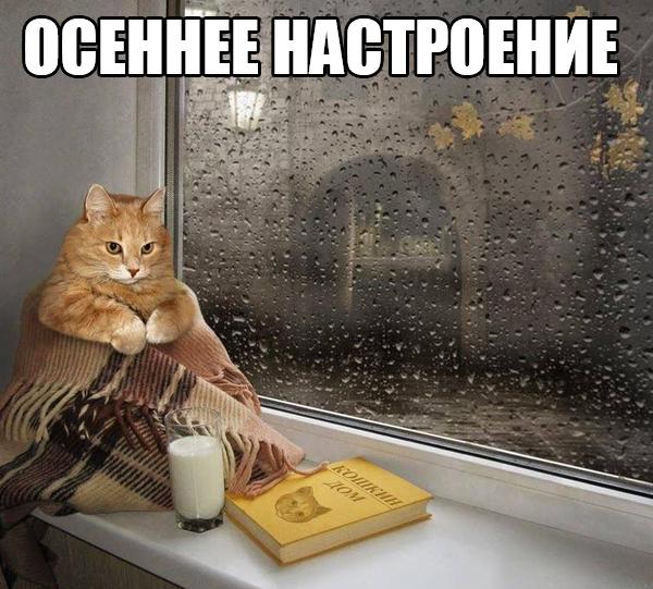 Картинки и приколы из сети, для поднятия настроения=)