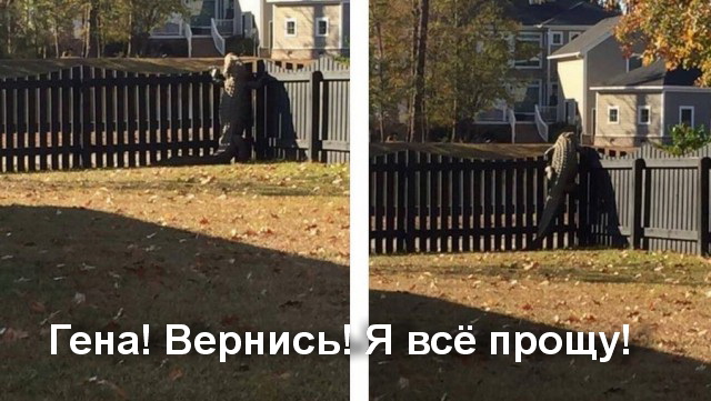 Подборка интересных и веселых картинок