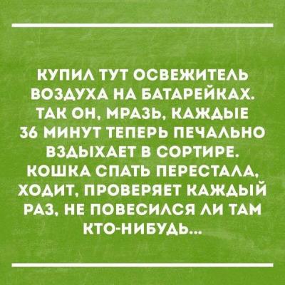 Веселые картинки! Деградиреум,  или просто веселимся?