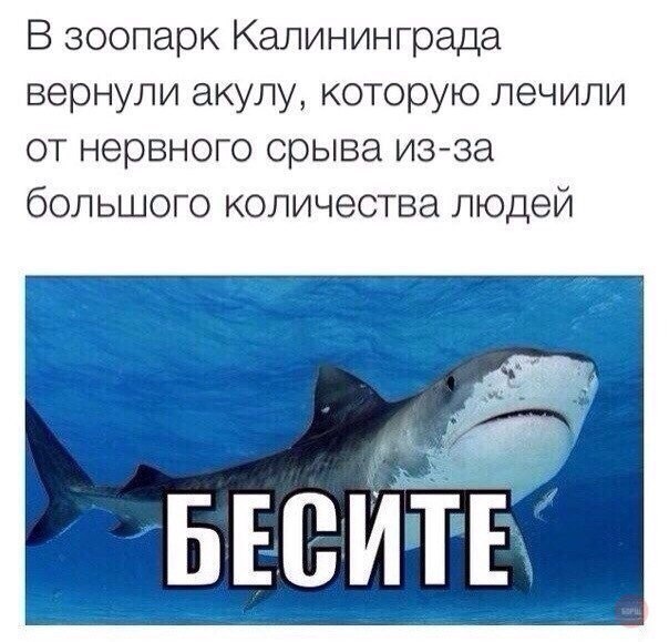 Тупанём?