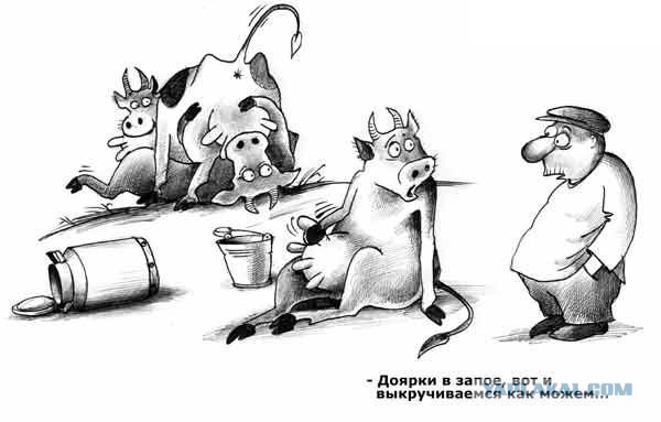 Нестандартный юмор