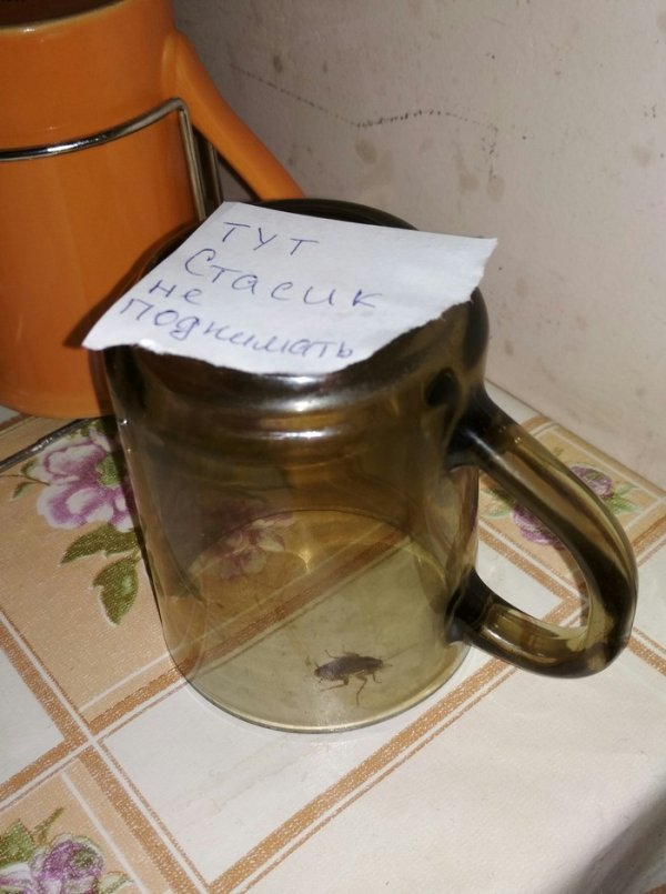 Прикольные надписи и объявления