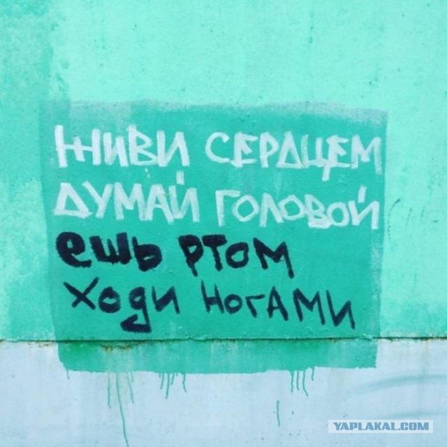 «Бродячие» философы: 17 глубокомысленных заметок в транспорте и на улицах