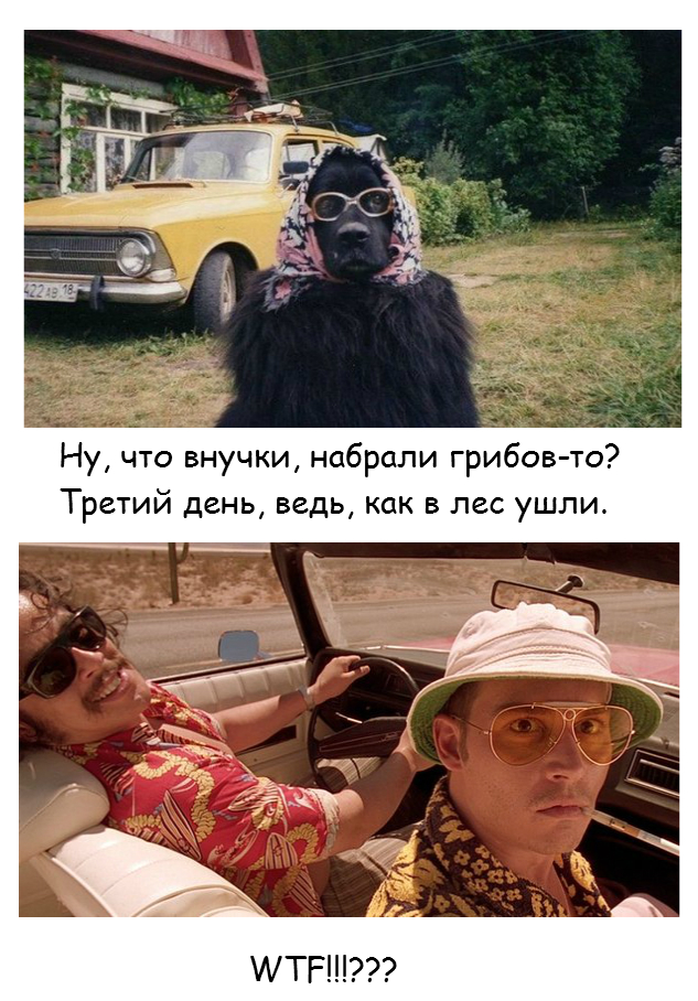 Бабушка приехала