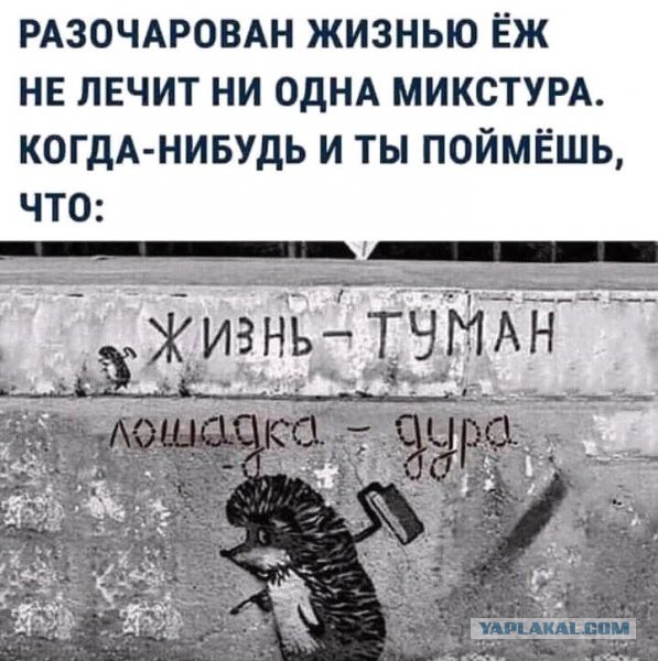 Пикчевая ерунда