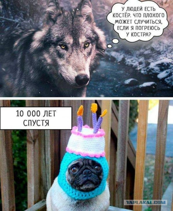 Картинок подборка