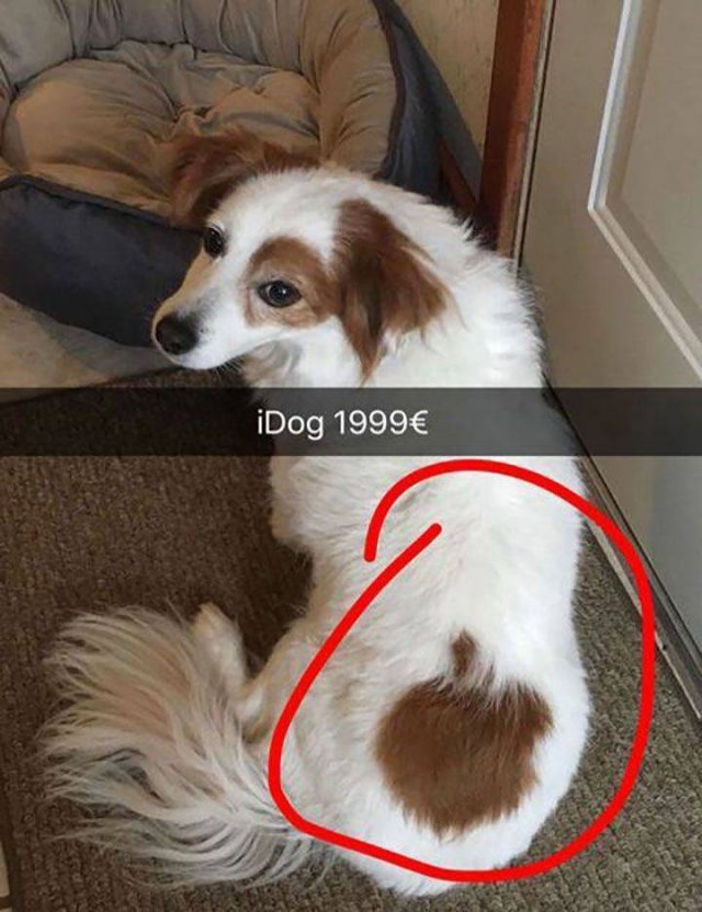 Мы всё исправим