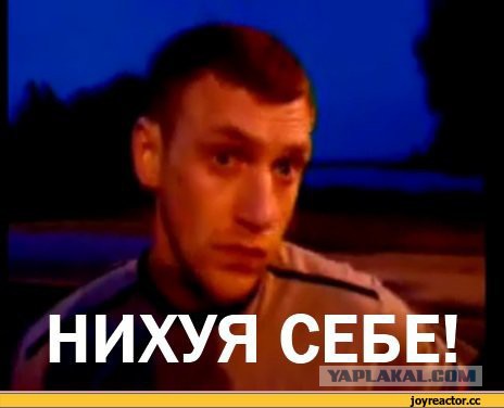 Ох, рано встаёт охрана