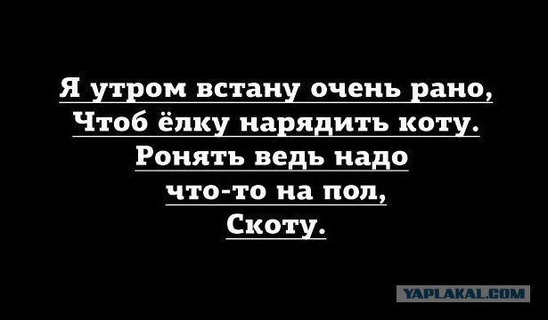 Чуток картинок! 22.12.19
