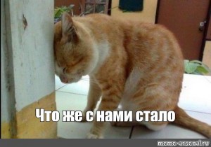 Автомобиль стал жертвой семейных разборок в Волгограде. Обманутая супруга оставила пару сообщений на машине мужа