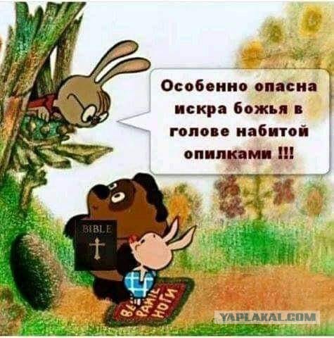 Мужчины умнеют. Женщины негодуют