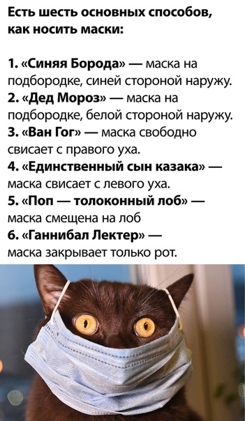 Немного картинок для настроения 28.05.20