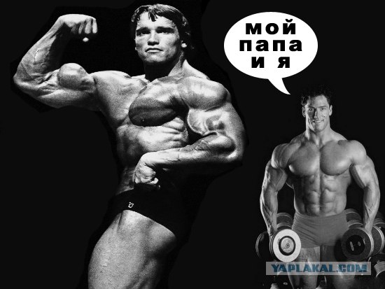 Фотожаба: Спортсмены