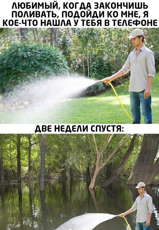 Просто картинки для настроения...