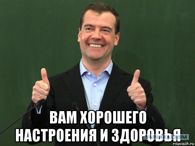 Собачьи покатушки