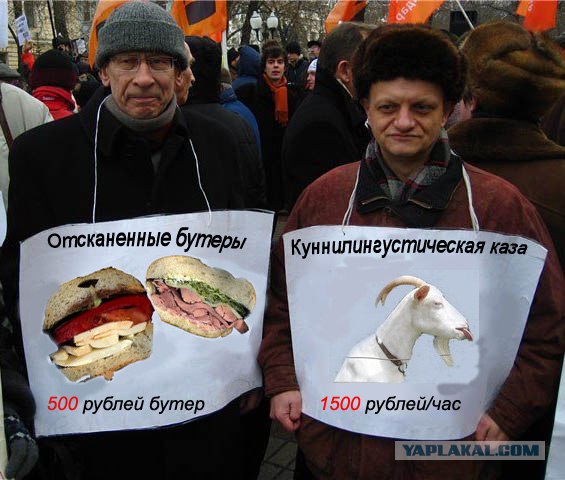 Фотожаба: Митинг