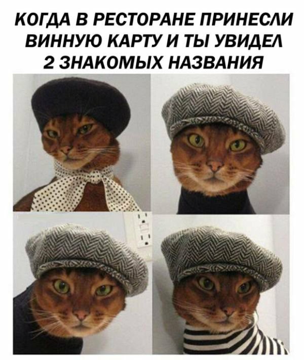 Боянистые картинки 19.12.20