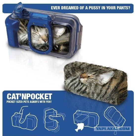 В понедельник на работу..