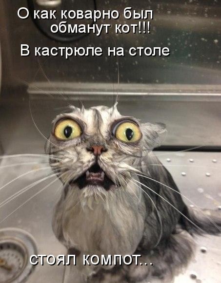Как правильно готовить суп