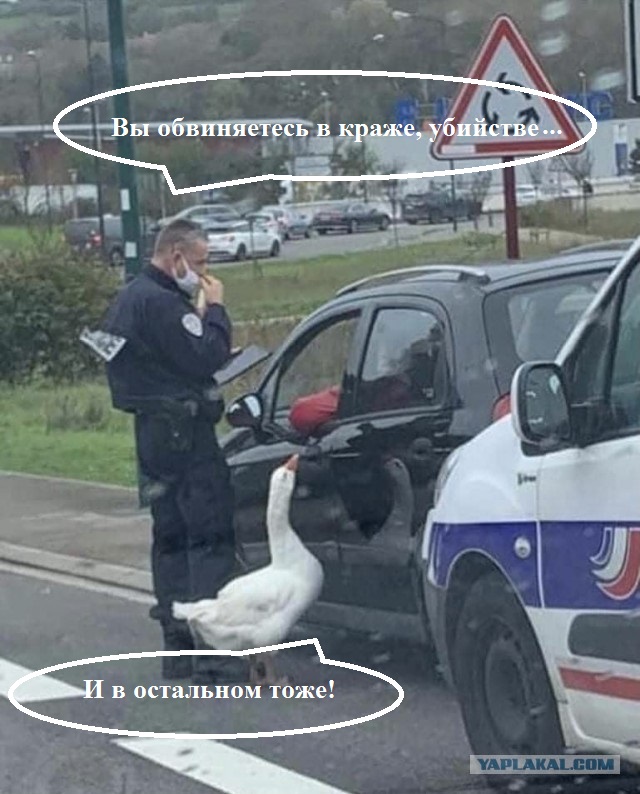 Подборка идиотских фотографий