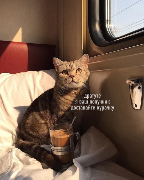 Так себе картинки 28.08.21