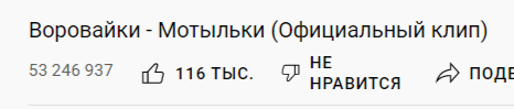 Солистку группы «Воровайки» обокрали в Воронеже