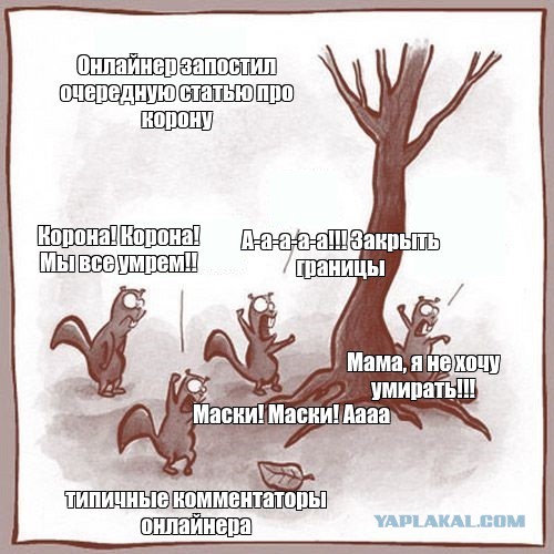 План на 16 февраля