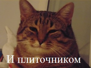 Пандемия. Коронавирус и съехавшие крыши. Россия и мир. Часть 31.