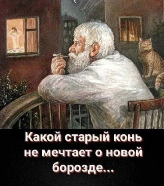 Как определить шкуру?