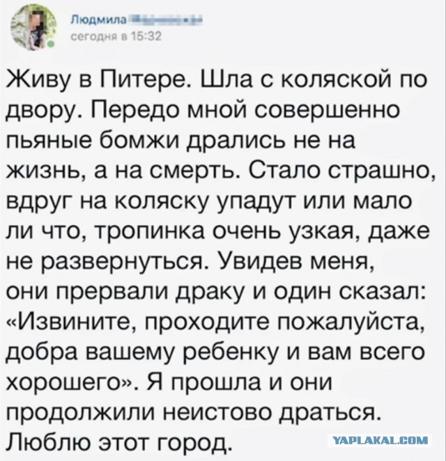 Скриншоты и комментарии из социальных сетей 20.07.22