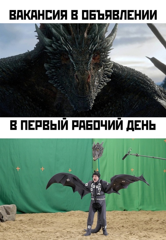 Весёлый полтишок 02.10.22