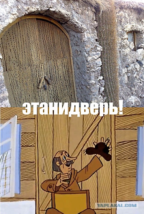 15 невероятных кадров, которые нужно увидеть хотя бы раз в жизни