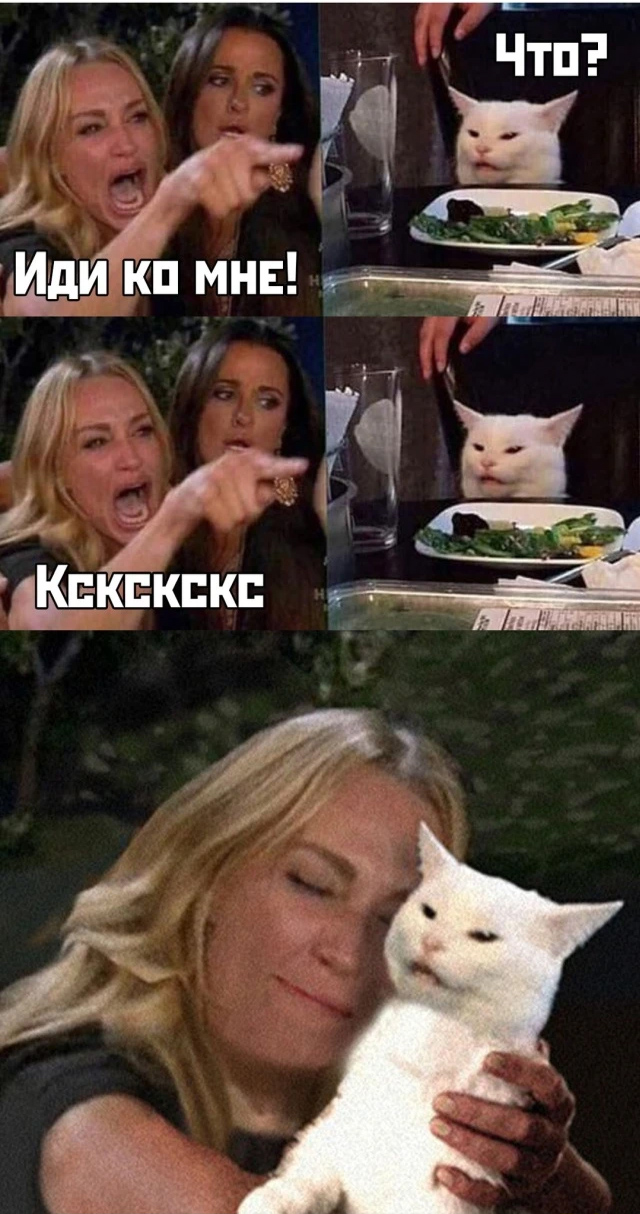 Весёлый полтишок 26.12.2022