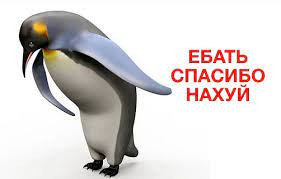 Так были они на Луне, или как?