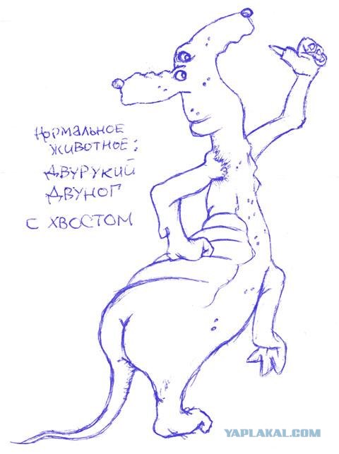 Старые и новые определения в глупых картинках