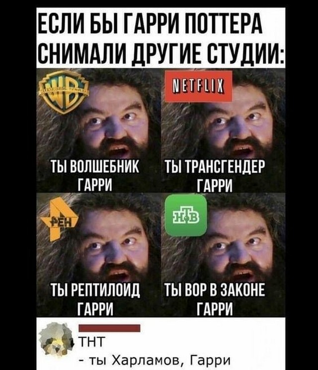 19329859.jpg